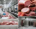 Premium Food Industry