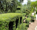 El Bosque Encantado vende se