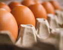 Venda de Empresa Distribuição Alimentar