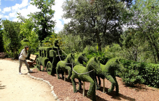 El Bosque Encantado sells itself