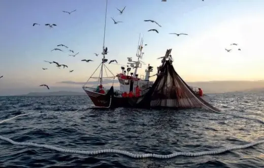 Azores Seafood Export Business