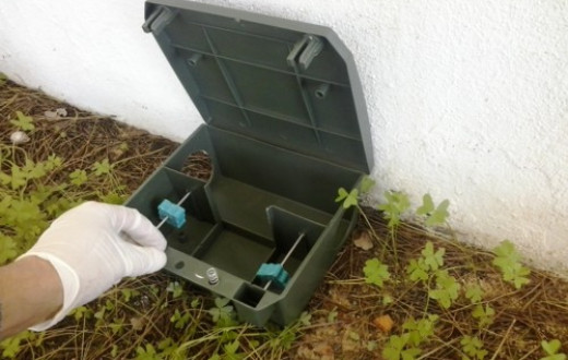 Pest Control Company - Algarve