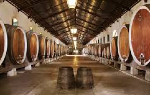 Empresa no Setor Vínicola