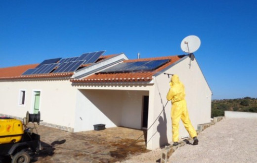Pest Control Company - Algarve