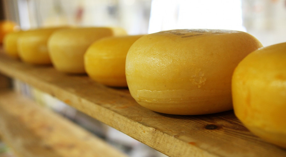910x500cheese-gc21b665c0-1280.jpg